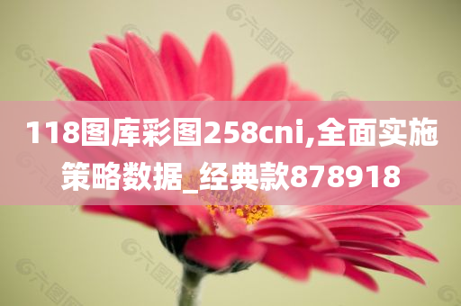 118图库彩图258cni,全面实施策略数据_经典款878918