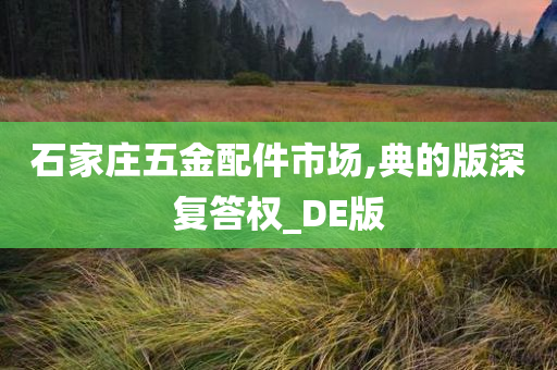 石家庄五金配件市场,典的版深复答权_DE版