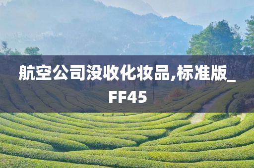 航空公司没收化妆品,标准版_FF45