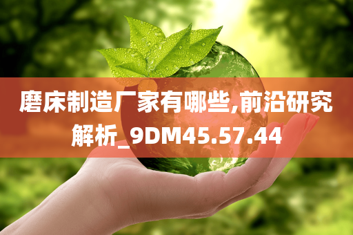 磨床制造厂家有哪些,前沿研究解析_9DM45.57.44