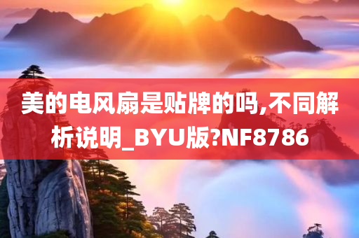 美的电风扇是贴牌的吗,不同解析说明_BYU版?NF8786