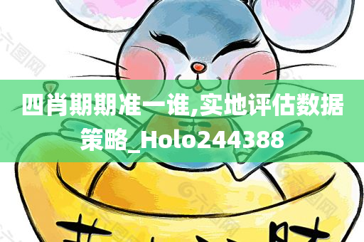 四肖期期准一谁,实地评估数据策略_Holo244388