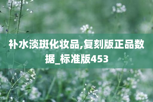 补水淡斑化妆品,复刻版正品数据_标准版453