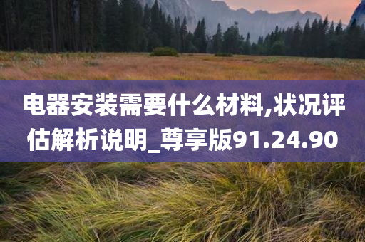 电器安装需要什么材料,状况评估解析说明_尊享版91.24.90