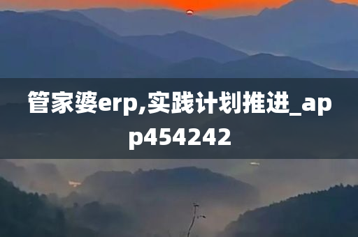 管家婆erp,实践计划推进_app454242