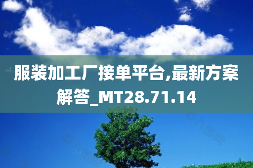 服装加工厂接单平台,最新方案解答_MT28.71.14