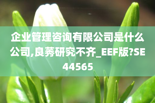 企业管理咨询有限公司是什么公司,良莠研究不齐_EEF版?SE44565