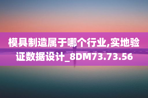 模具制造属于哪个行业,实地验证数据设计_8DM73.73.56