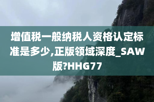 增值税一般纳税人资格认定标准是多少,正版领域深度_SAW版?HHG77