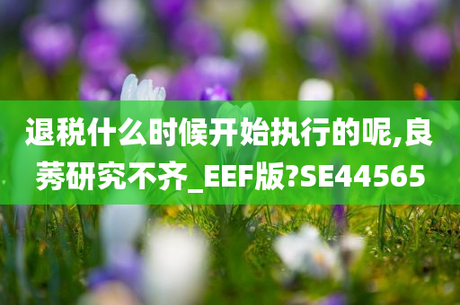 退税什么时候开始执行的呢,良莠研究不齐_EEF版?SE44565