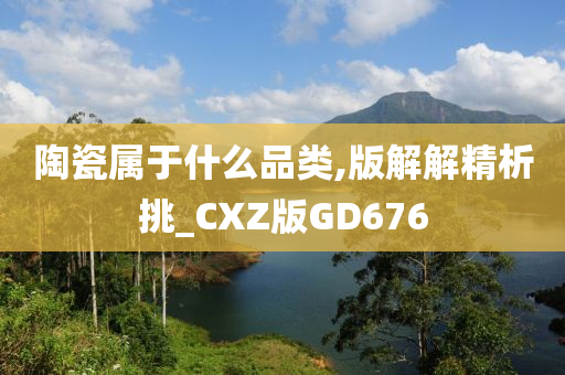 陶瓷属于什么品类,版解解精析挑_CXZ版GD676