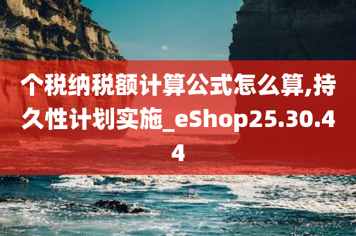 个税纳税额计算公式怎么算,持久性计划实施_eShop25.30.44