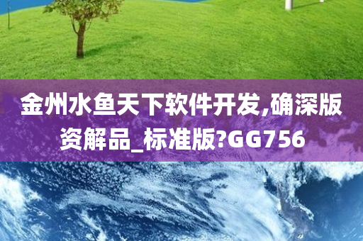 金州水鱼天下软件开发,确深版资解品_标准版?GG756