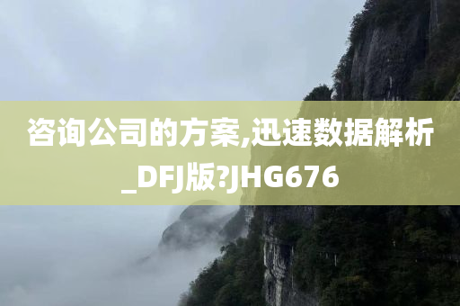 咨询公司的方案,迅速数据解析_DFJ版?JHG676