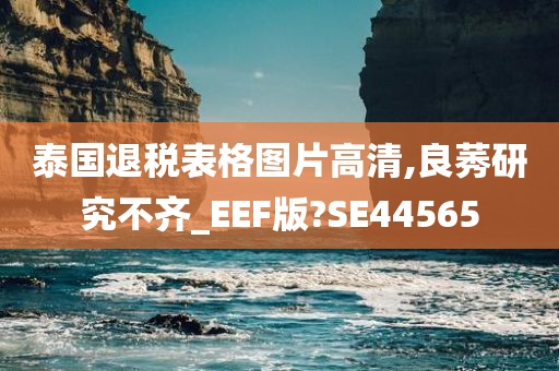 泰国退税表格图片高清,良莠研究不齐_EEF版?SE44565