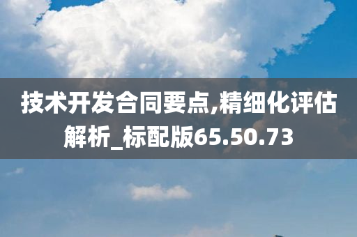 技术开发合同要点,精细化评估解析_标配版65.50.73