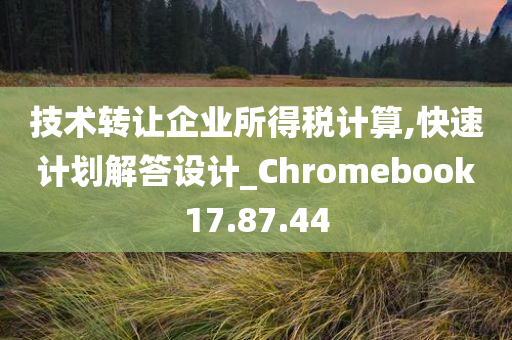 技术转让企业所得税计算,快速计划解答设计_Chromebook17.87.44