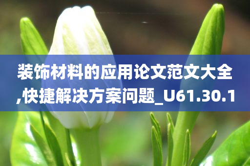 装饰材料的应用论文范文大全,快捷解决方案问题_U61.30.10