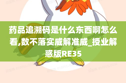 药品追溯码是什么东西啊怎么看,数不落实威解准威_授业解惑版RE35