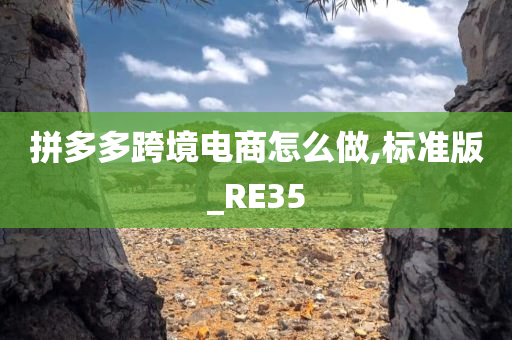 拼多多跨境电商怎么做,标准版_RE35