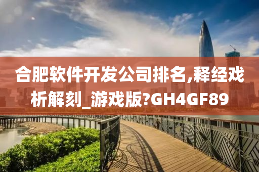 合肥软件开发公司排名,释经戏析解刻_游戏版?GH4GF89