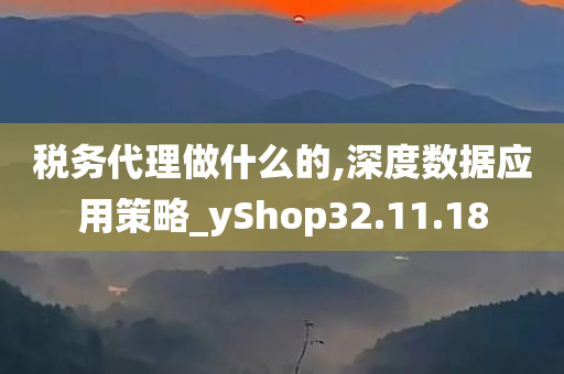 税务代理做什么的,深度数据应用策略_yShop32.11.18