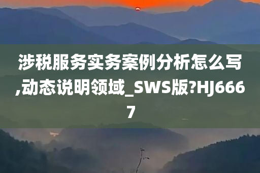 涉税服务实务案例分析怎么写,动态说明领域_SWS版?HJ6667