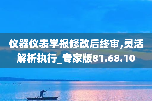 仪器仪表学报修改后终审,灵活解析执行_专家版81.68.10