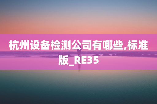 杭州设备检测公司有哪些,标准版_RE35