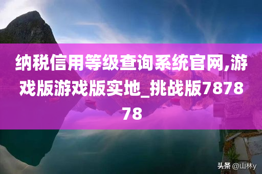 纳税信用等级查询系统官网,游戏版游戏版实地_挑战版787878