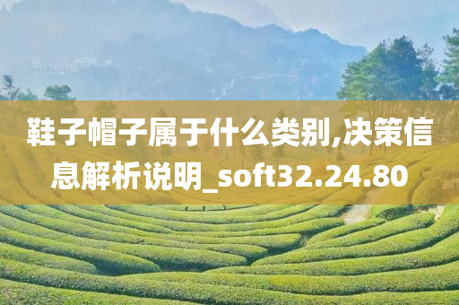 鞋子帽子属于什么类别,决策信息解析说明_soft32.24.80