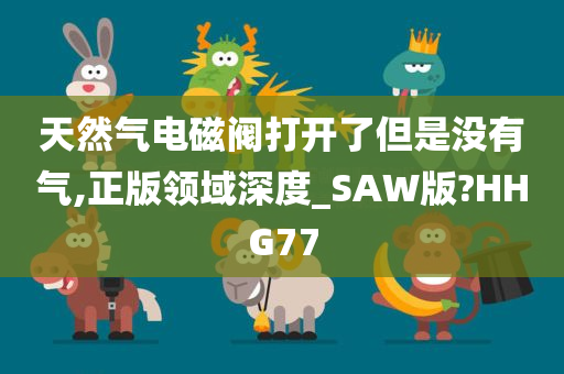 天然气电磁阀打开了但是没有气,正版领域深度_SAW版?HHG77