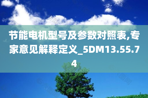 节能电机型号及参数对照表,专家意见解释定义_5DM13.55.74