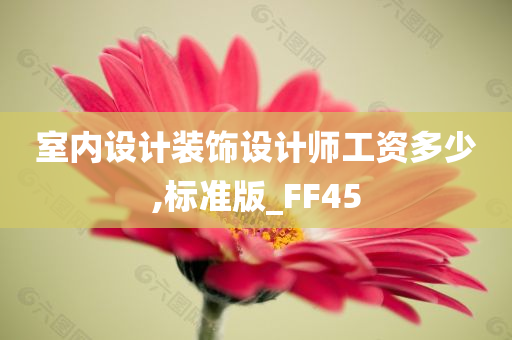 室内设计装饰设计师工资多少,标准版_FF45