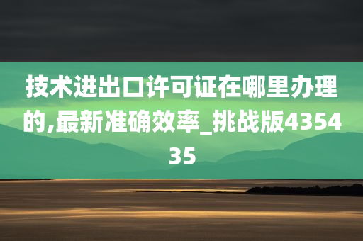 技术进出口许可证在哪里办理的,最新准确效率_挑战版435435