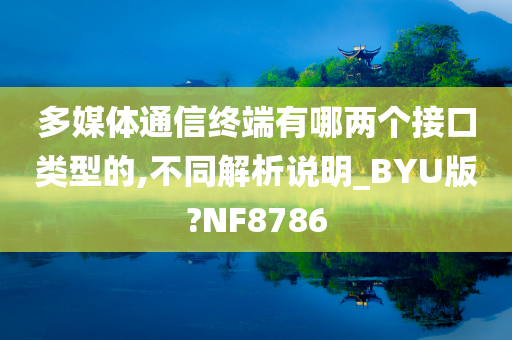 多媒体通信终端有哪两个接口类型的,不同解析说明_BYU版?NF8786