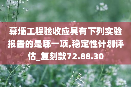 幕墙工程验收应具有下列实验报告的是哪一项,稳定性计划评估_复刻款72.88.30