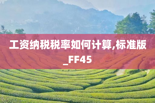 工资纳税税率如何计算,标准版_FF45