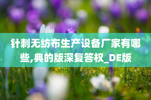 针刺无纺布生产设备厂家有哪些,典的版深复答权_DE版