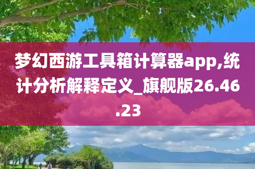 梦幻西游工具箱计算器app,统计分析解释定义_旗舰版26.46.23