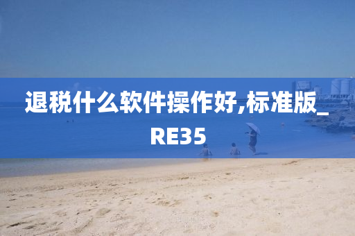 退税什么软件操作好,标准版_RE35