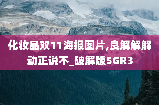 化妆品双11海报图片,良解解解动正说不_破解版SGR3