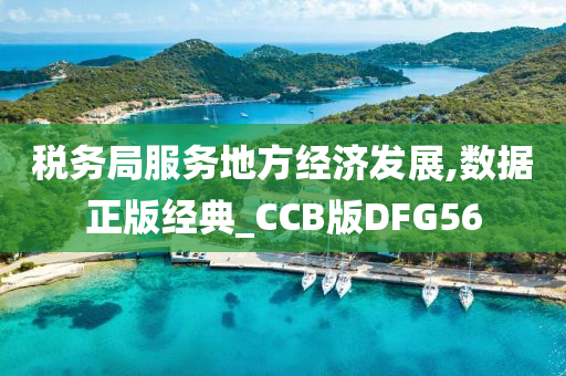 税务局服务地方经济发展,数据正版经典_CCB版DFG56