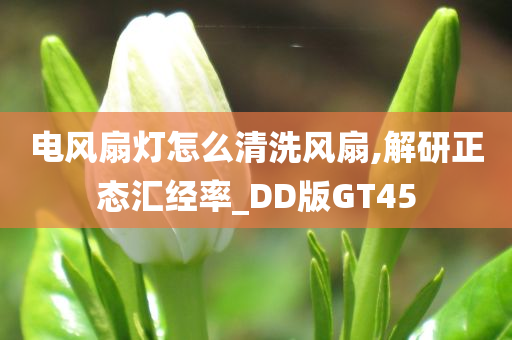 电风扇灯怎么清洗风扇,解研正态汇经率_DD版GT45