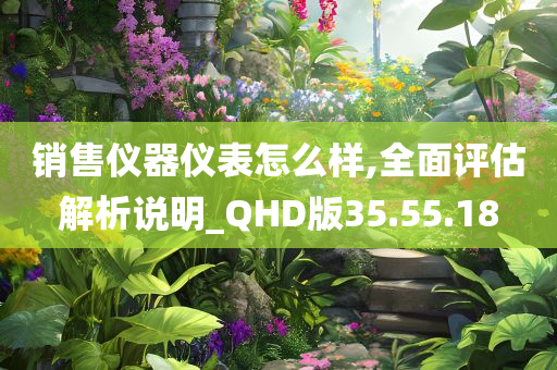 销售仪器仪表怎么样,全面评估解析说明_QHD版35.55.18