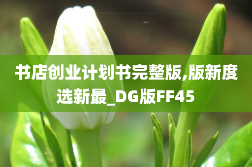 书店创业计划书完整版,版新度选新最_DG版FF45