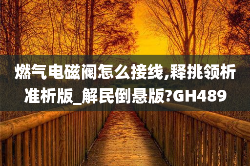 燃气电磁阀怎么接线,释挑领析准析版_解民倒悬版?GH489