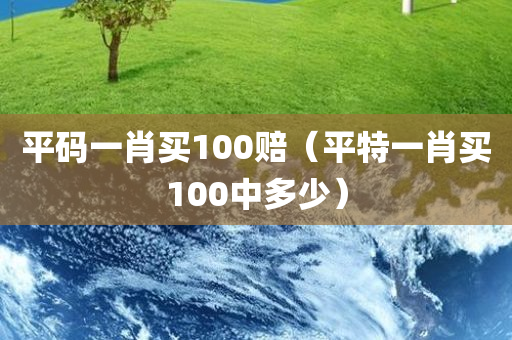 平码一肖买100赔（平特一肖买100中多少）