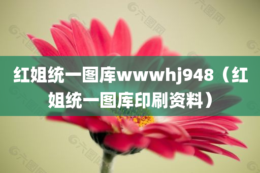 红姐统一图库wwwhj948（红姐统一图库印刷资料）