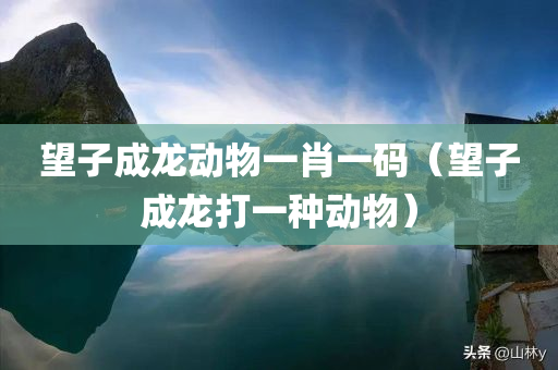 望子成龙动物一肖一码（望子成龙打一种动物）